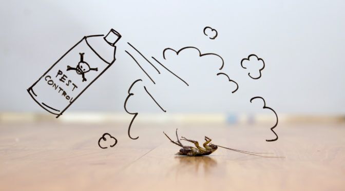 6 Ways to Save Money on Termite Treatment in Scottsdale, AZ