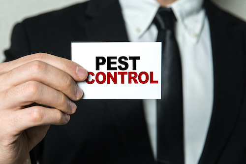 Need Pest Control Services in Arizona? Read This