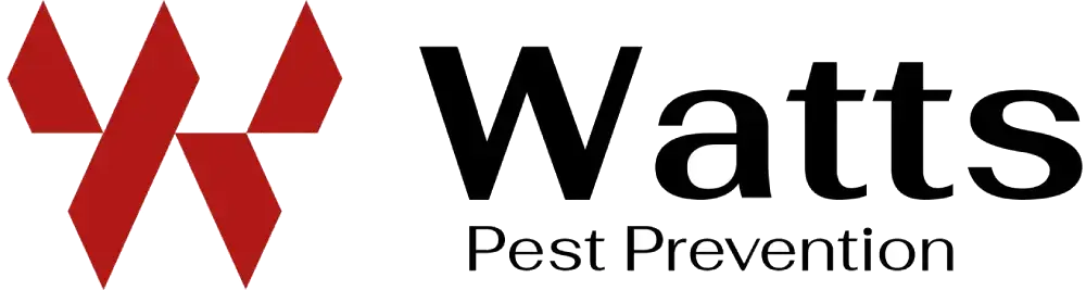 logo 2 1