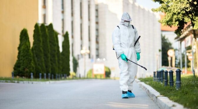 Termite Control Phoenix: Guide to Protect Your Home