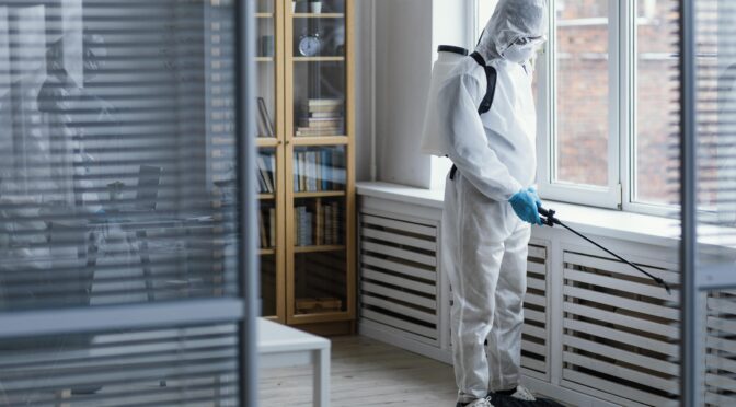 Pest Control in Phoenix: What You Need to Know
