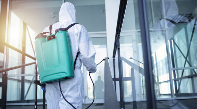 Warning Signs of Pests for Phoenix Homeowners