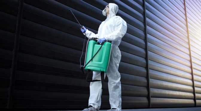 DIY vs Professional Pest Control in Mesa